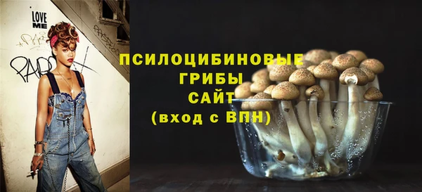 ПСИЛОЦИБИНОВЫЕ ГРИБЫ Алексин