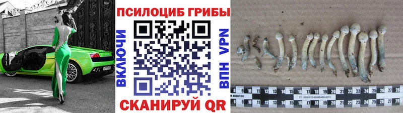 Галлюциногенные грибы прущие грибы  blacksprut ссылка  Куйбышев 